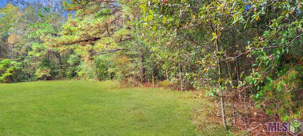 36793 B Cryer Road Denham Springs, LA 70706 - Photo 4 of 7