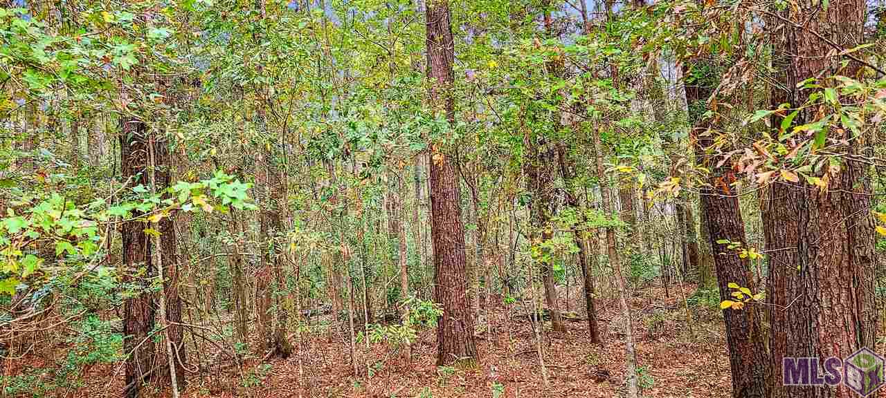 36793 B Cryer Road Denham Springs, LA 70706 - Photo 7 of 7