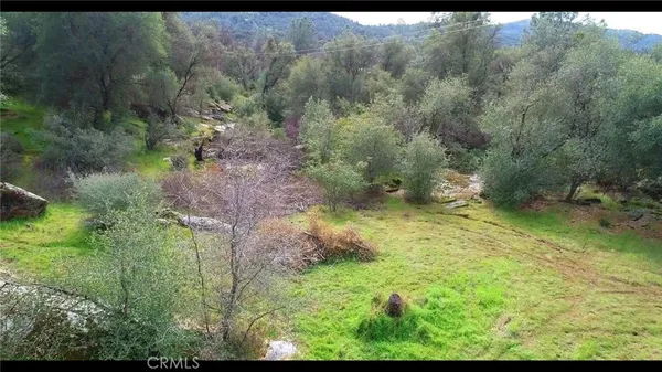 a view of outdoor space and trees