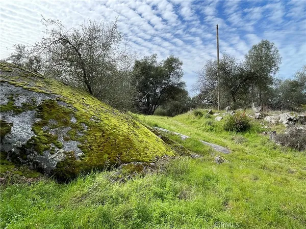 a view of a garden
