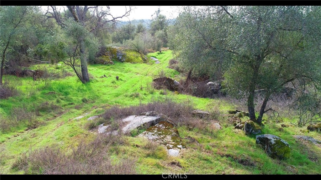 832 Silver Bar Road Mariposa, CA 95338 - Photo 5 of 7 a view of an outdoor space and a yard