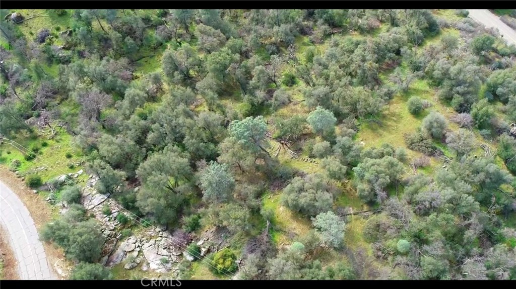 832 Silver Bar Road Mariposa, CA 95338 - Photo 6 of 7 a view of a forest with lots of trees