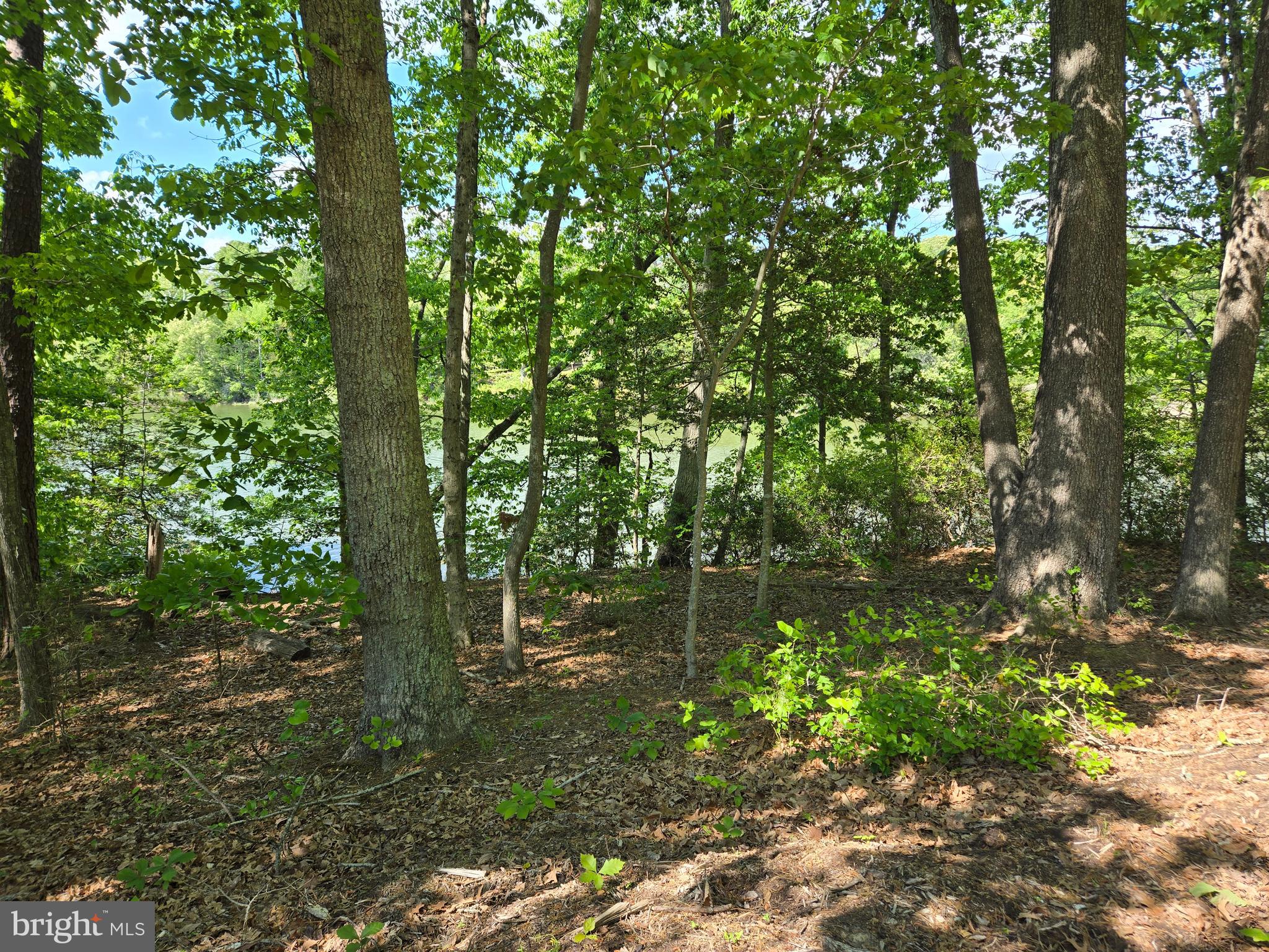 From back of lot towards the creek