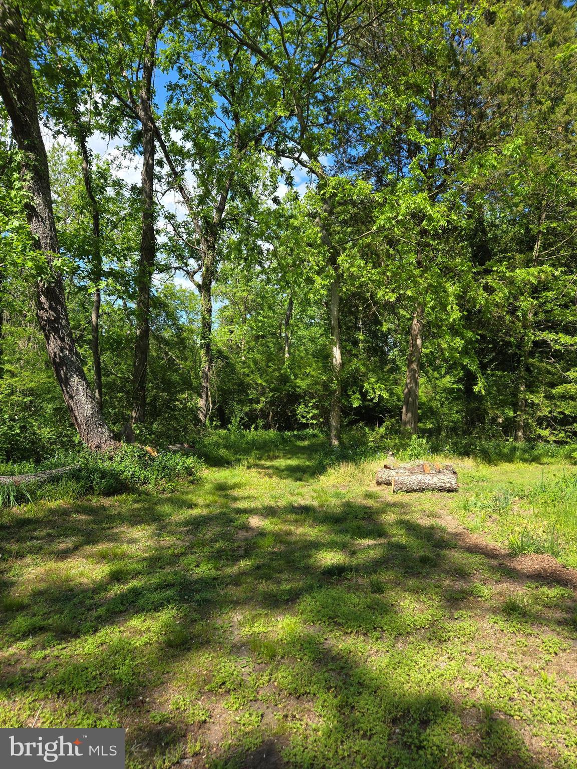 Lot 3 Seaside Lane Ridge, MD 20680 - Photo 2 of 7 View from lot towards the creek