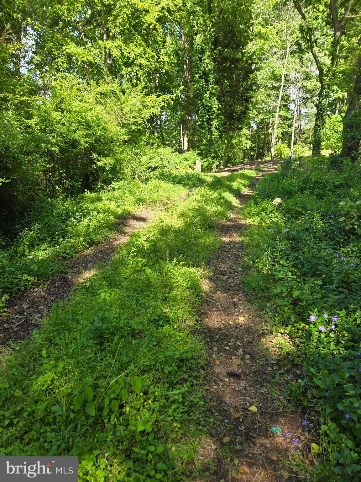 Lot 3 Seaside Lane Ridge, MD 20680 - Photo 3 of 7 Drive to Lot on Left