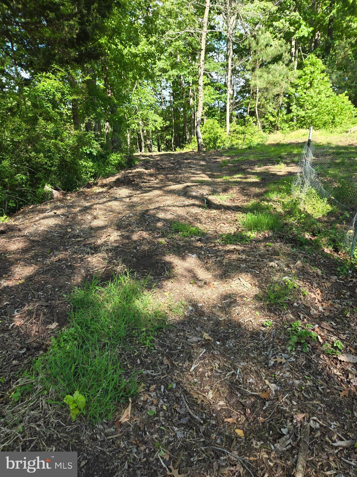 Lot 3 Seaside Lane Ridge, MD 20680 - Photo 4 of 7 Dirt Road at back of lot