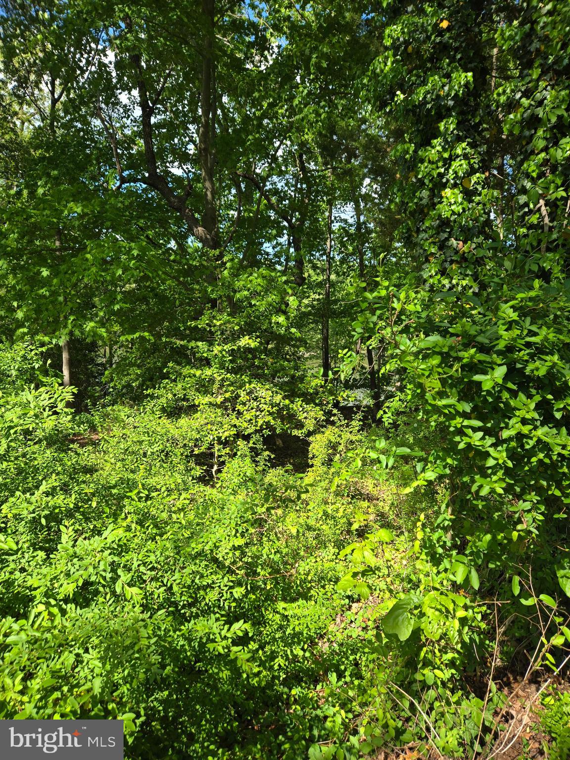 Lot 3 Seaside Lane Ridge, MD 20680 - Photo 5 of 7