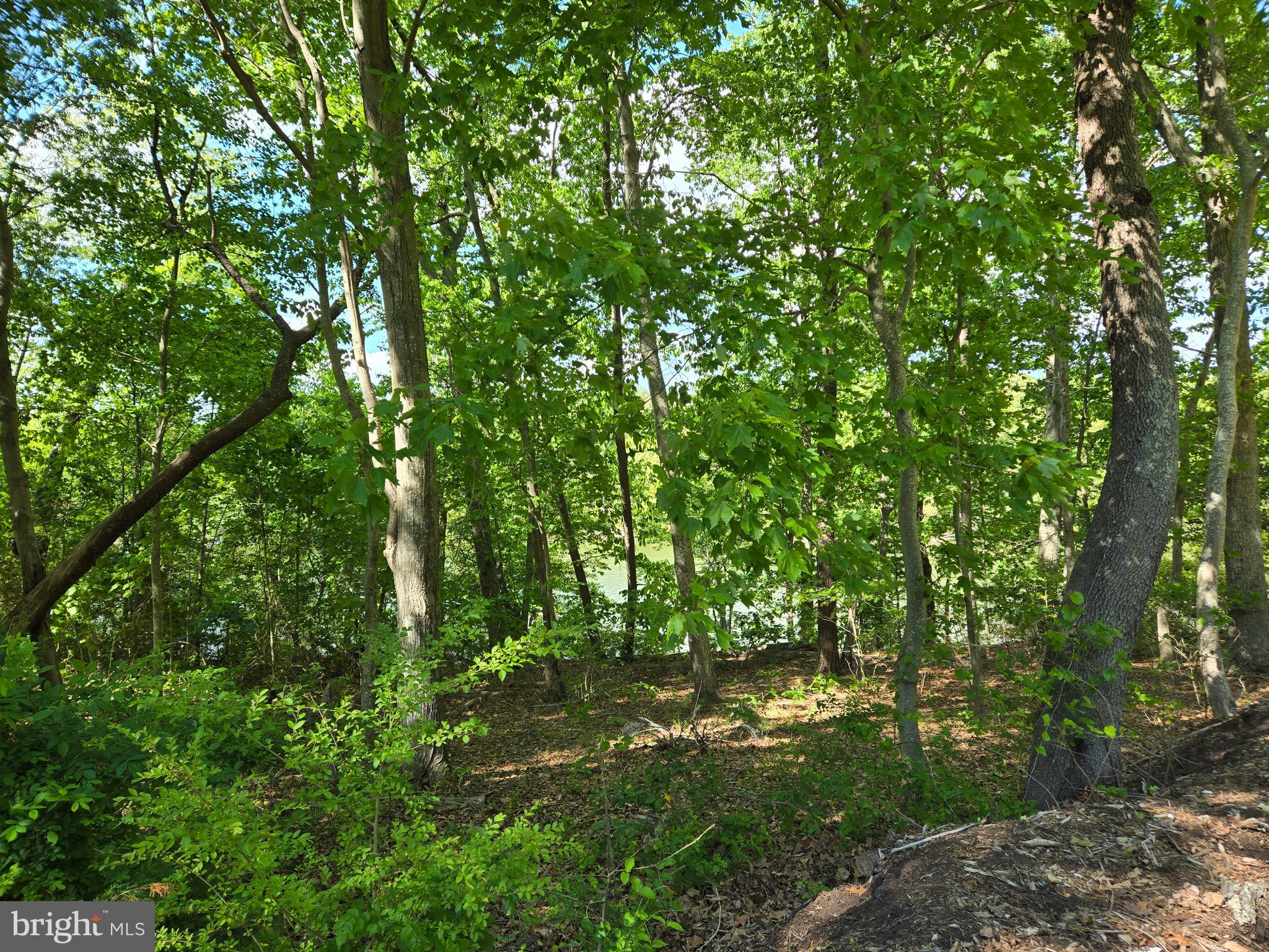 Lot 3 Seaside Lane Ridge, MD 20680 - Photo 6 of 7 Lot sloping towards the creek