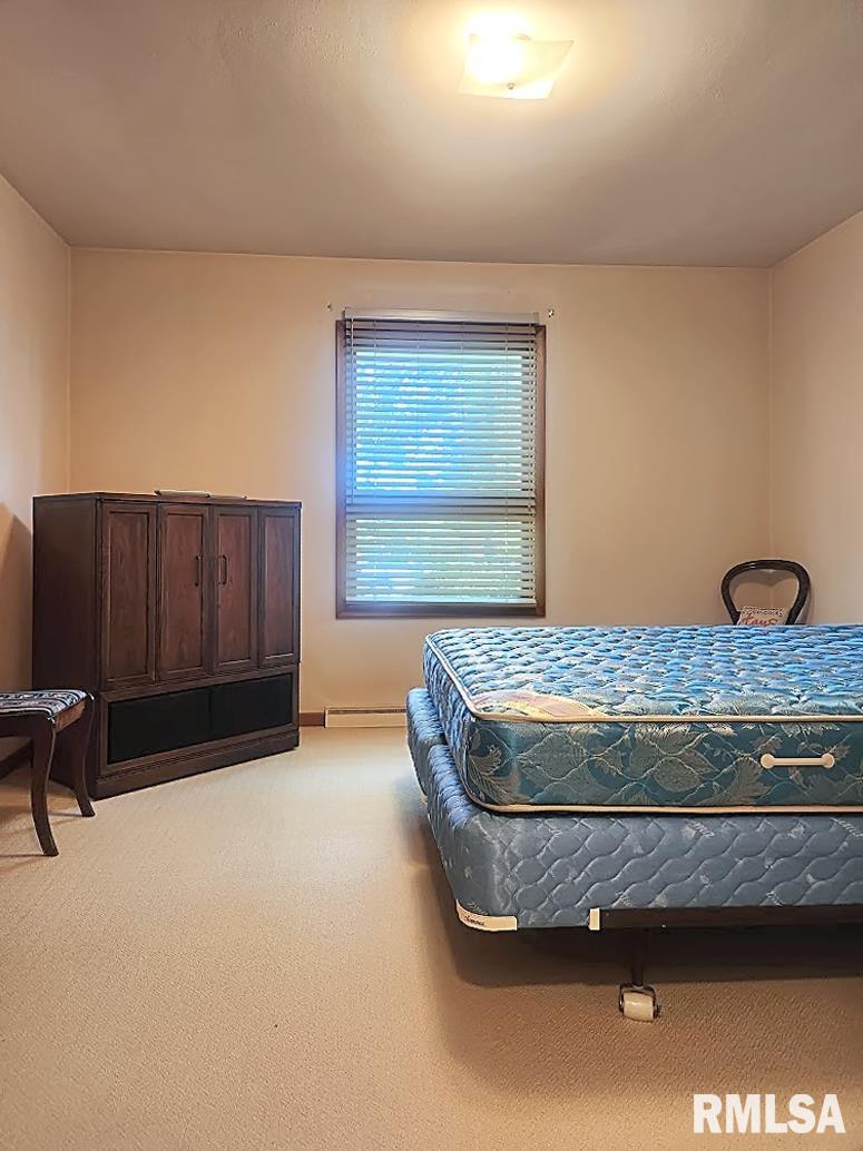 304 North 3rd Street Wyoming, IL 61491 - Photo 24 of 42