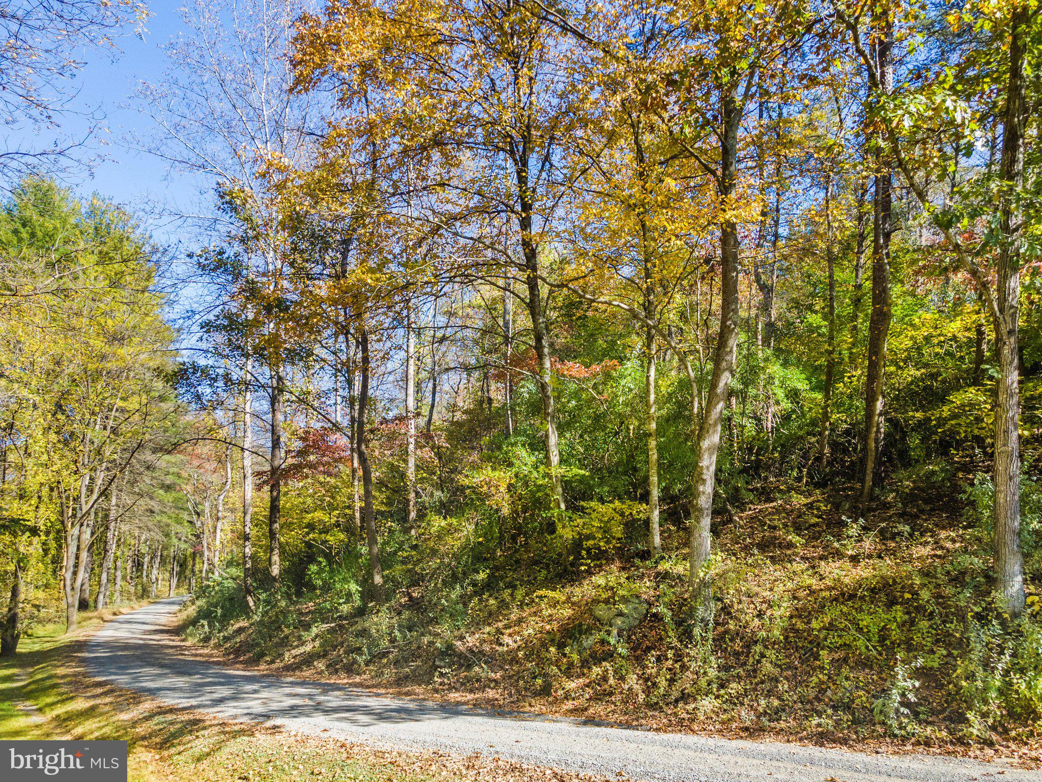 Long Mountain Road Washington, VA 22747 - Photo 24 of 24