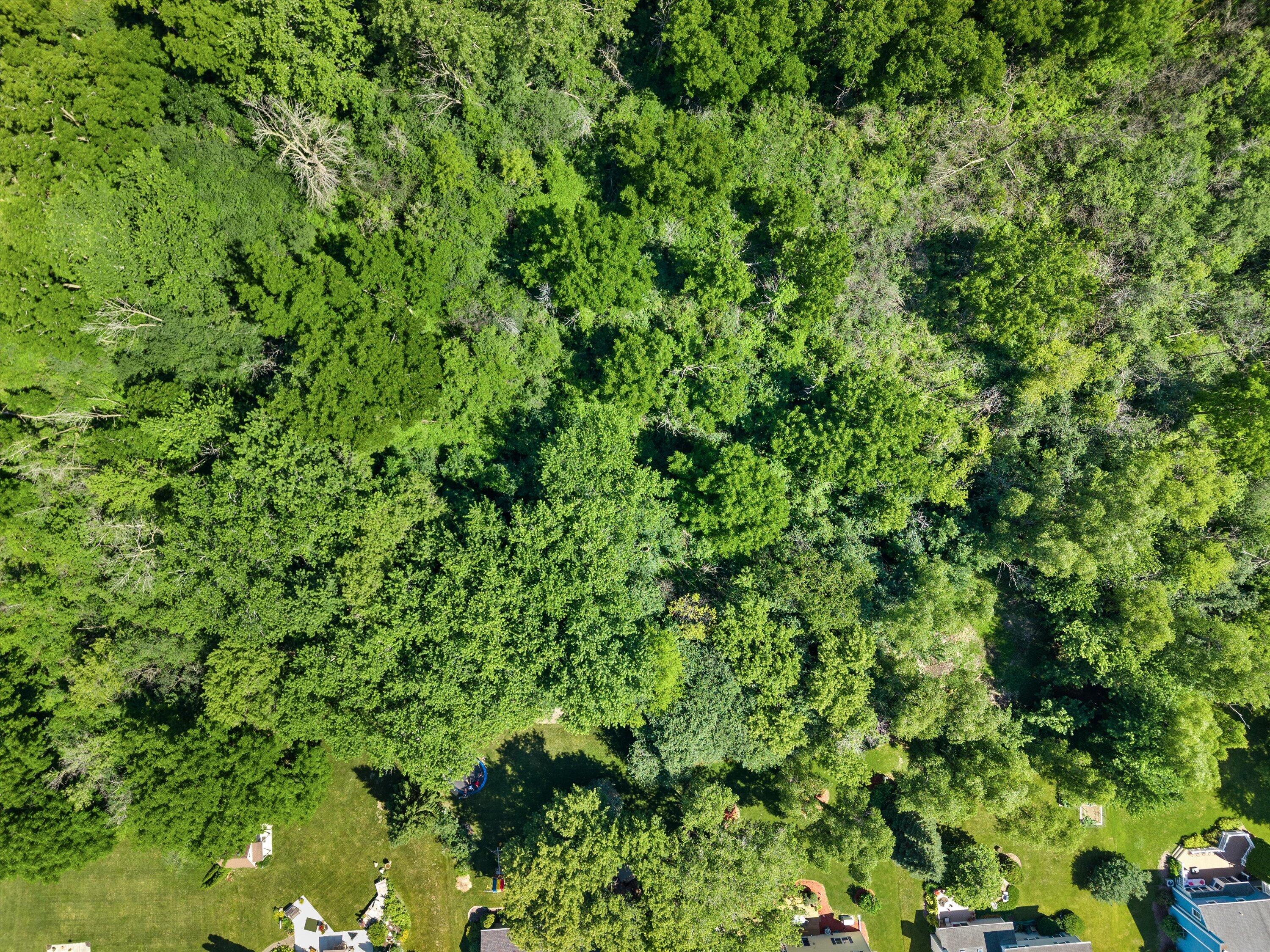 W156N7968 Pilgrim Road Menomonee Falls, WI 53051 - Photo 11 of 25 10-DJI_20260710105756_0902_D