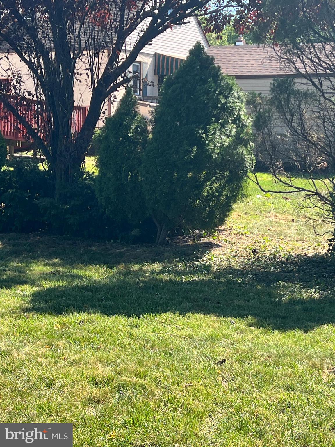 30 Spruce Avenue, Unit A Maple Shade, NJ 08052 - Photo 58 of 71