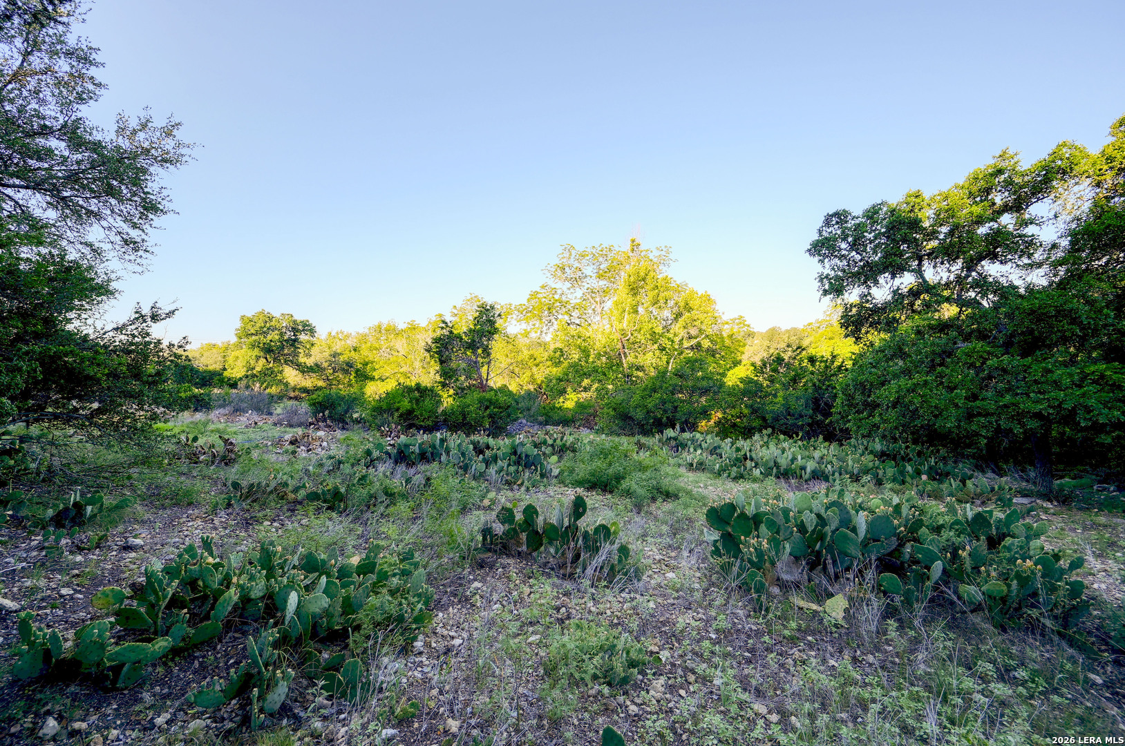315 Rittimann Road Spring Branch, TX 78070 - Photo 32 of 51