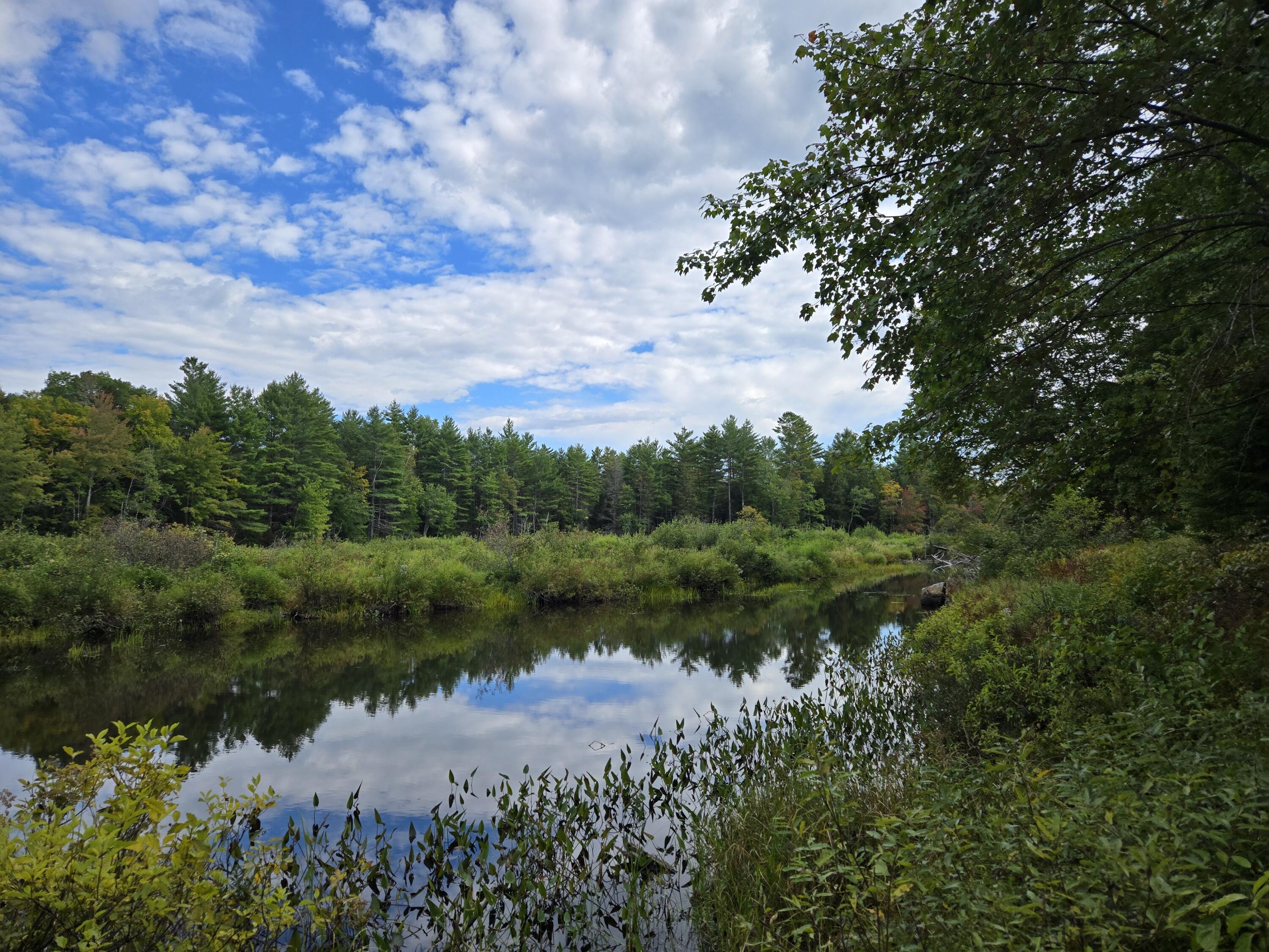 117 Gammon Road Sumner, ME 04292 - Photo 39 of 49 20250914_152016