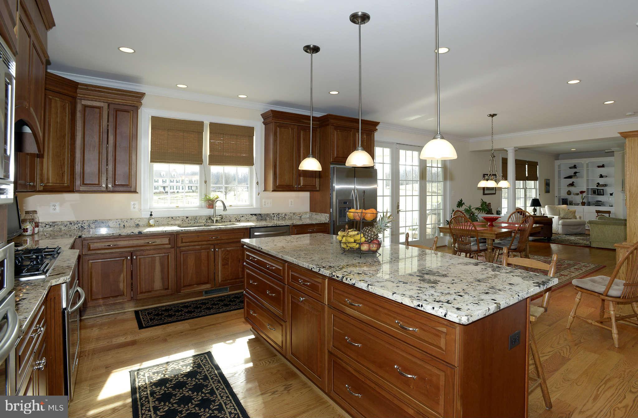 17555 Hardy Road Mount Airy, MD 21771 - Photo 11 of 30 Gourmet Custom Designed Kitchen