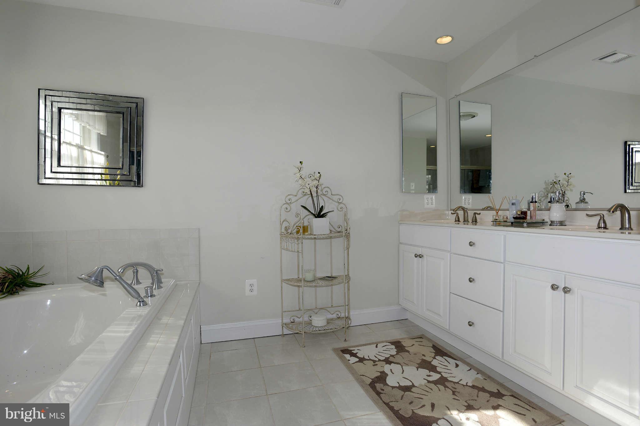 17555 Hardy Road Mount Airy, MD 21771 - Photo 18 of 30 Bath (Master)