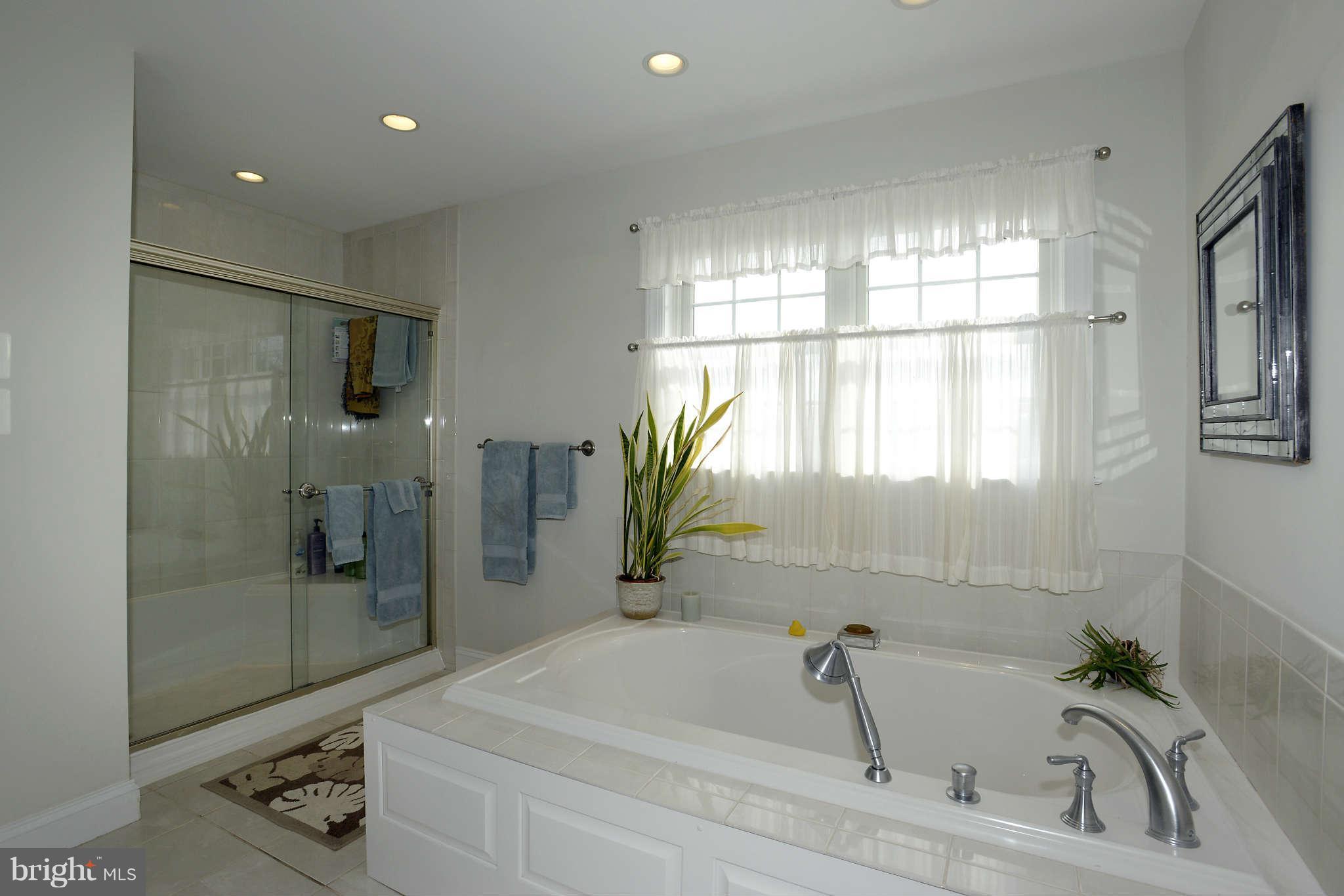 17555 Hardy Road Mount Airy, MD 21771 - Photo 19 of 30 Bath (Master)