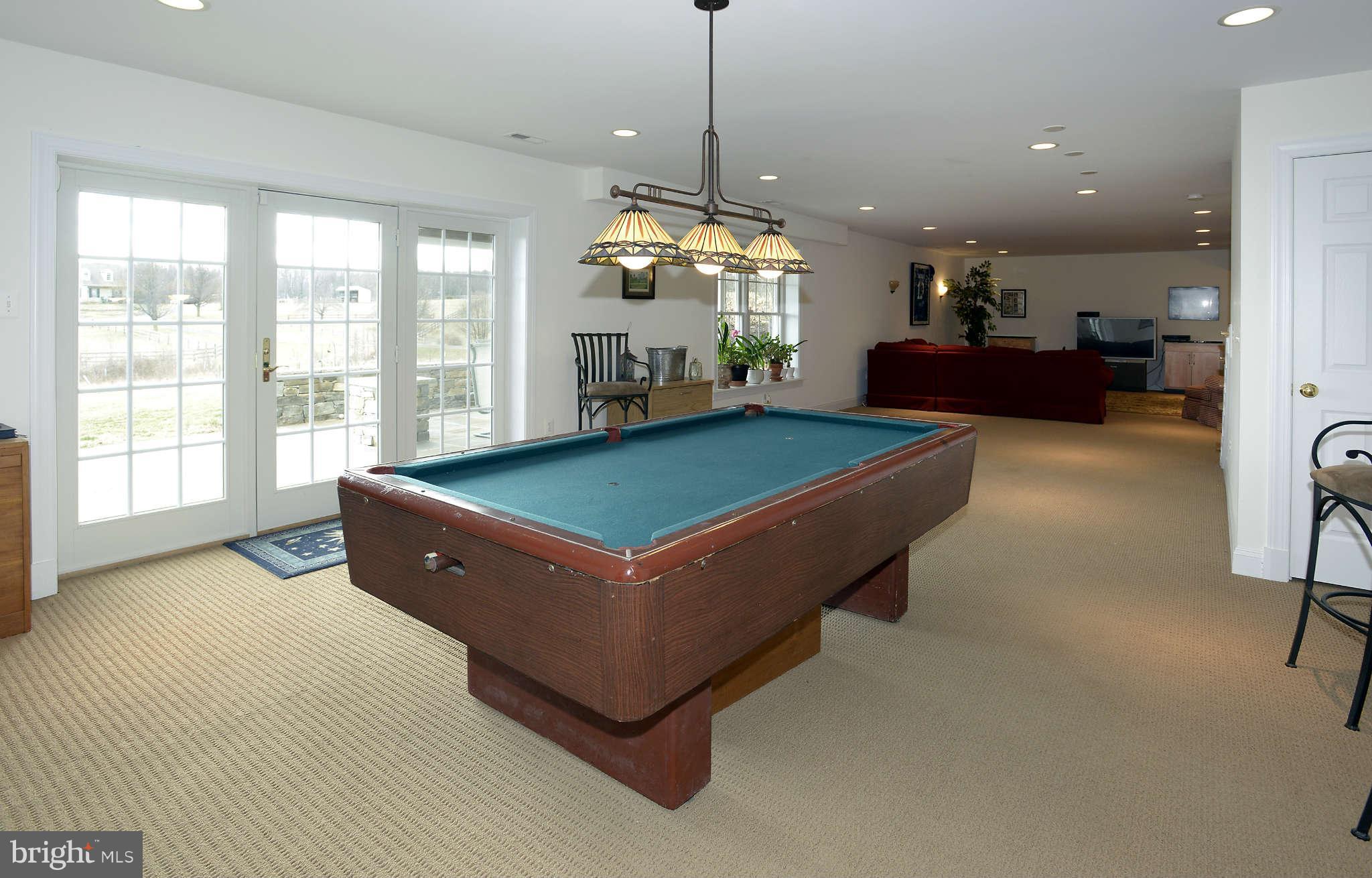 17555 Hardy Road Mount Airy, MD 21771 - Photo 28 of 30 lower level recreation room