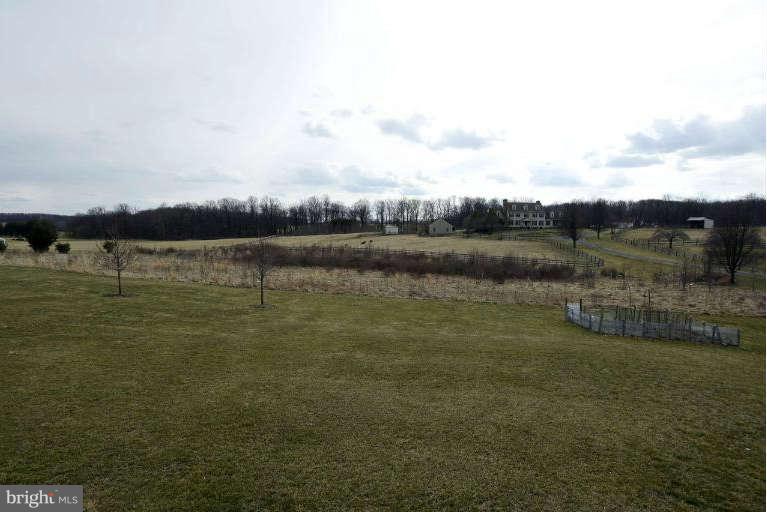 17555 Hardy Road Mount Airy, MD 21771 - Photo 5 of 30 Exterior (Rear) Backyard