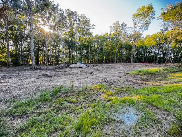 a view of a yard with a trees
