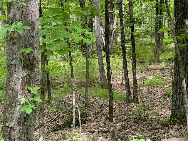 Joel M Austin Road North Cairo, NY 12413 - Photo 2 of 5 a view of outdoor space and garden