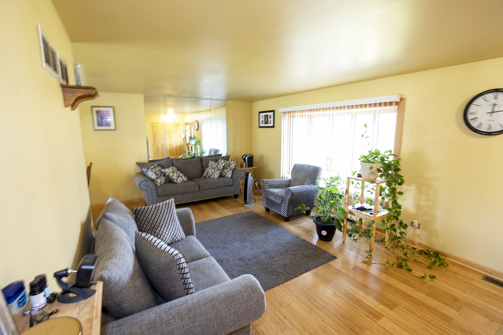 433 Highland Road Matteson, IL 60443 - Photo 6 of 27 a living room with furniture and a wooden floor