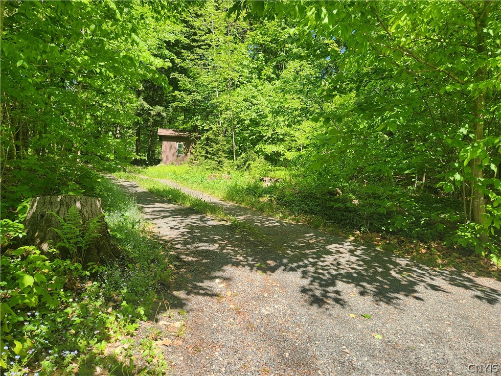 1193 Old Piseco Road Arietta, NY 12139 - Photo 28 of 42