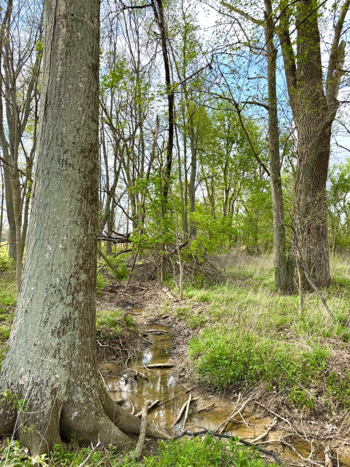 11732 Martin-Alexander Road Winchester, OH 45697 - Photo 84 of 89