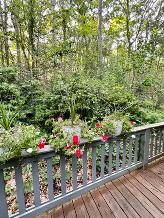 a outdoor view from a balcony