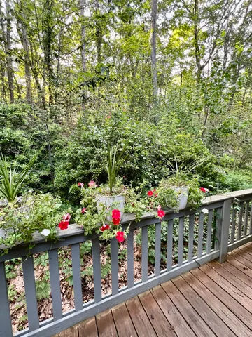 a outdoor view from a balcony