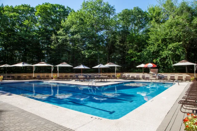 a view of a swimming pool with lounge chair