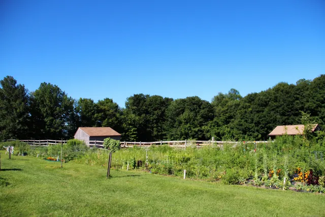 a backyard of a house with lots of green space and garden
