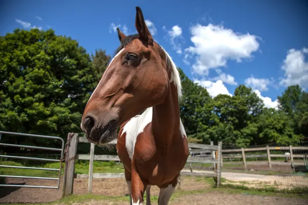 a room with furniture and a window