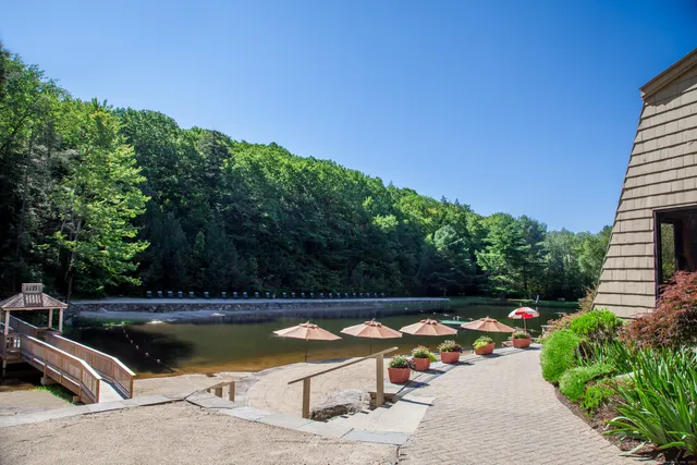 a view of a backyard with plants and a patio