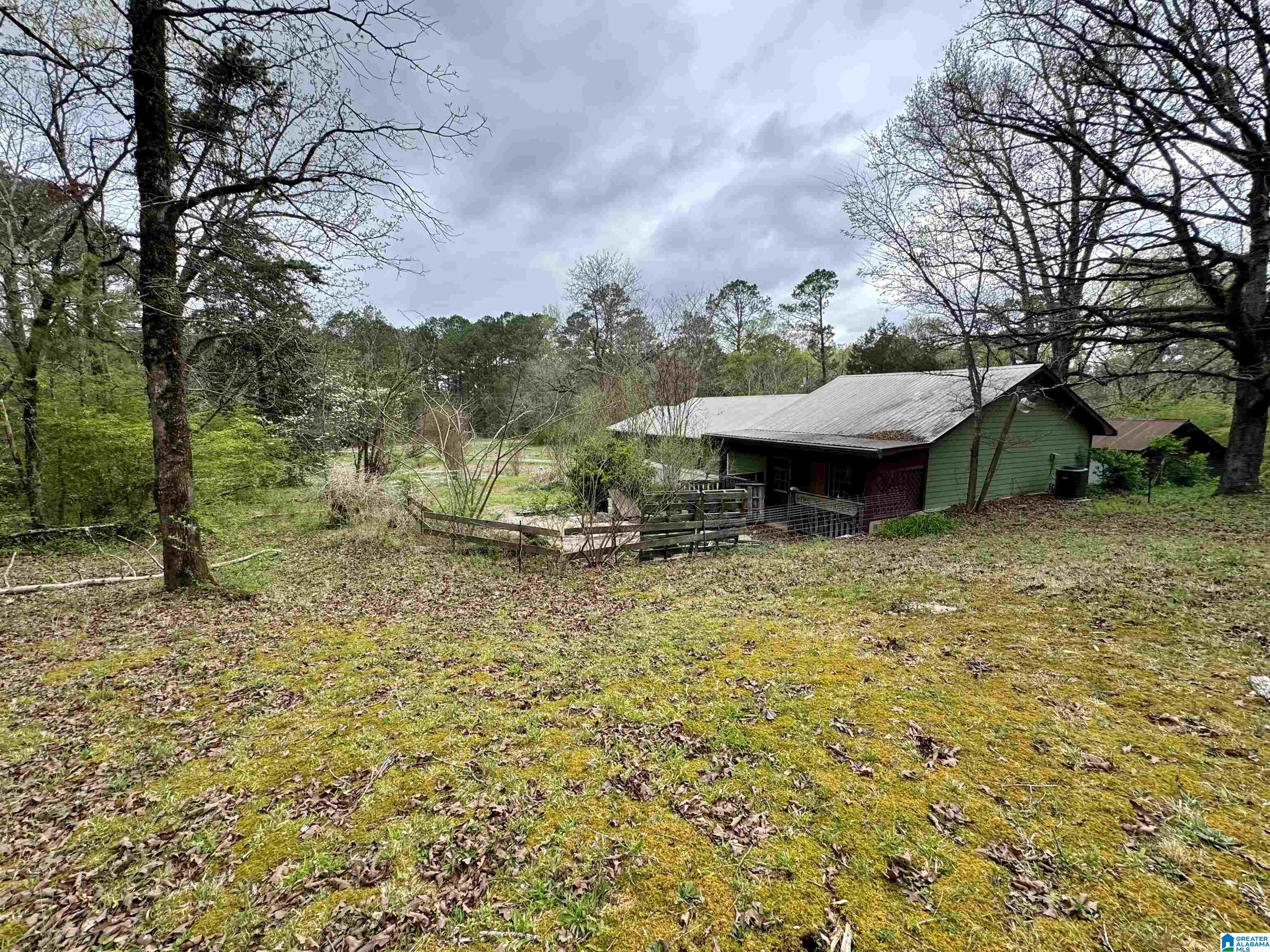 6420 Snowville Brent Road Dora, AL 35062 - Photo 11 of 22