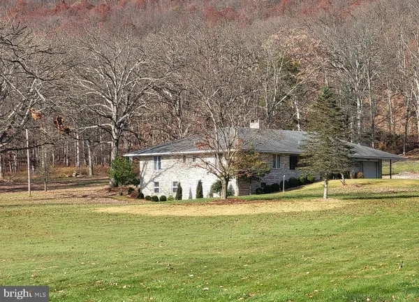 a view of a yard with a tree