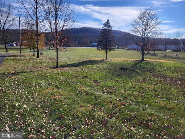 a view of a large mountains with lots of bushes