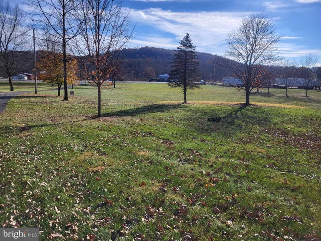 a view of a large mountains with lots of bushes