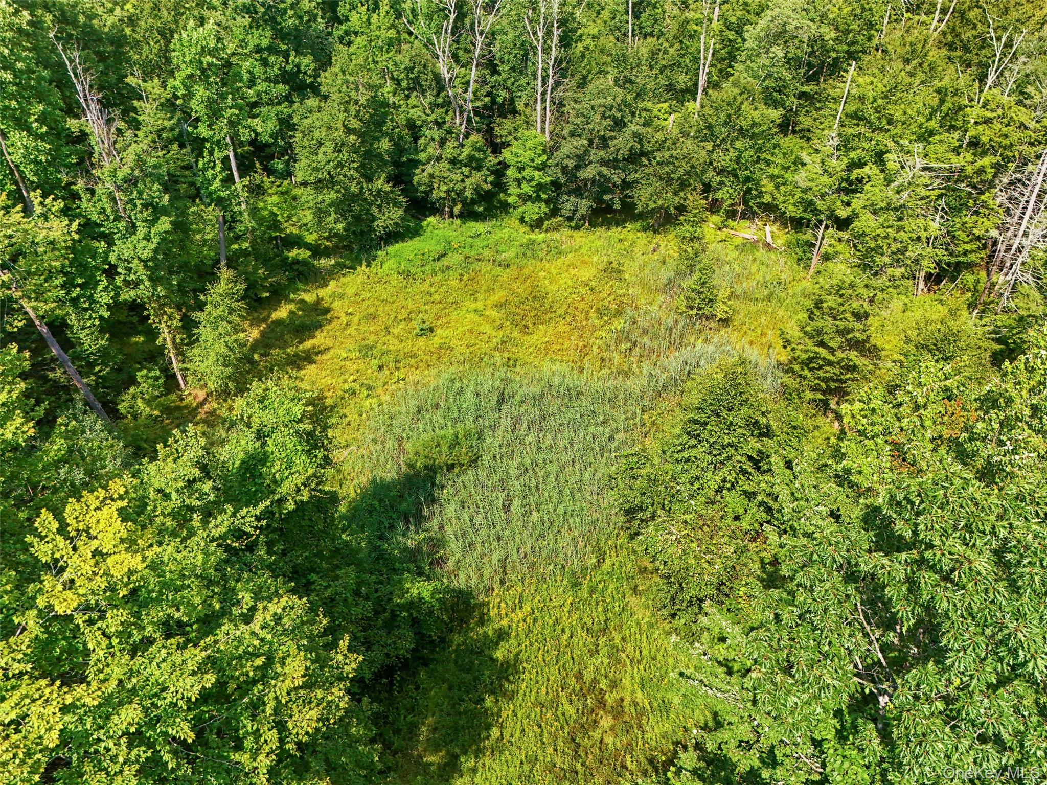 Oak Ridge Road Ellenville, NY 12428 - Photo 10 of 23 Gallery Image 10