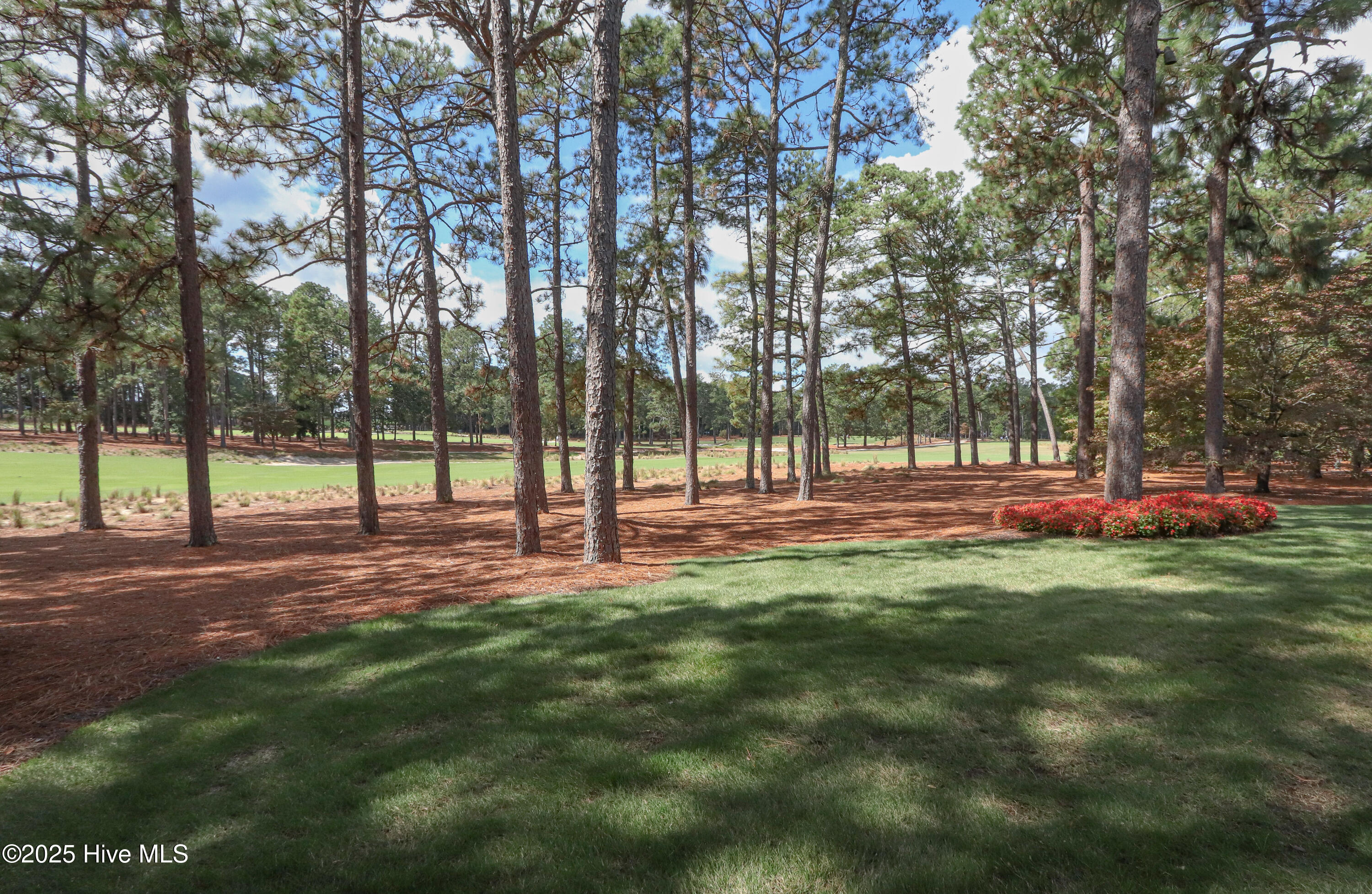 310 Inverrary Road Pinehurst, NC 28374 - Photo 51 of 54 IMG_0345