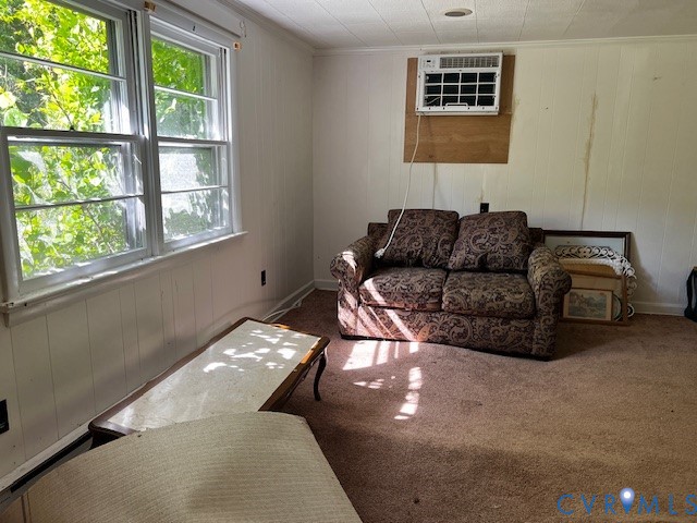 565 Town Bridge Road Saluda, VA 23149 - Photo 8 of 14