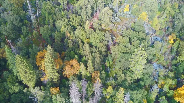 $200,000 | 6180 Chowchilla Mountain Road, Mariposa, CA 95338