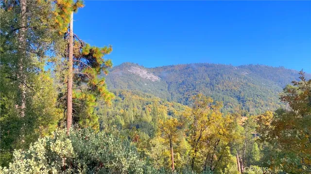 a view of a yard with plants and brick wall