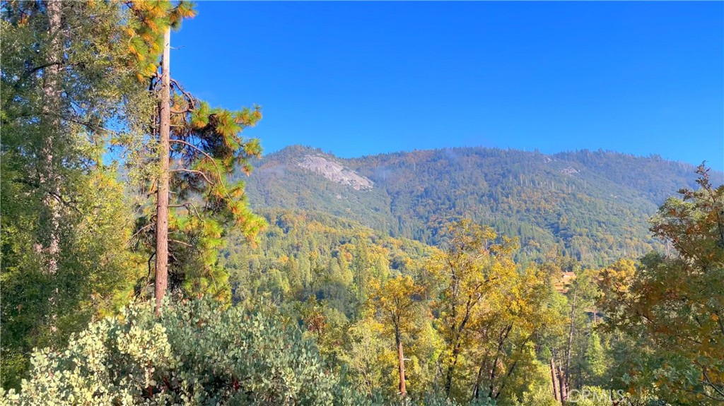 6180 Chowchilla Mountain Road Mariposa, CA 95338 - Photo 3 of 11