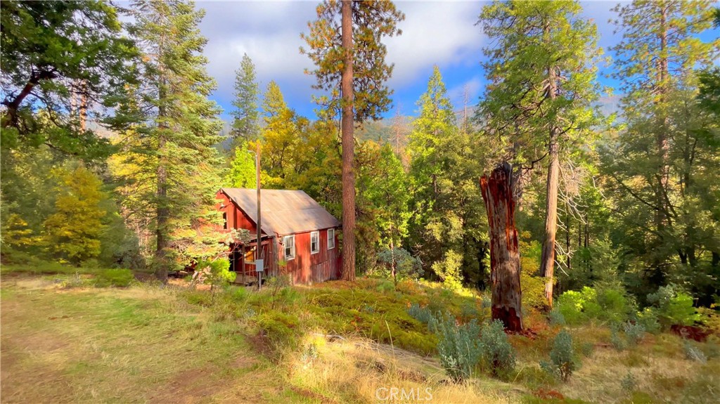 6180 Chowchilla Mountain Road Mariposa, CA 95338 - Photo 4 of 11 a view of a yard with plants and brick wall