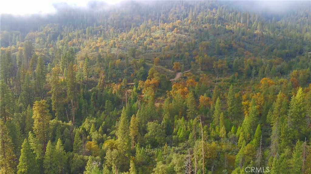 6180 Chowchilla Mountain Road Mariposa, CA 95338 - Photo 9 of 11