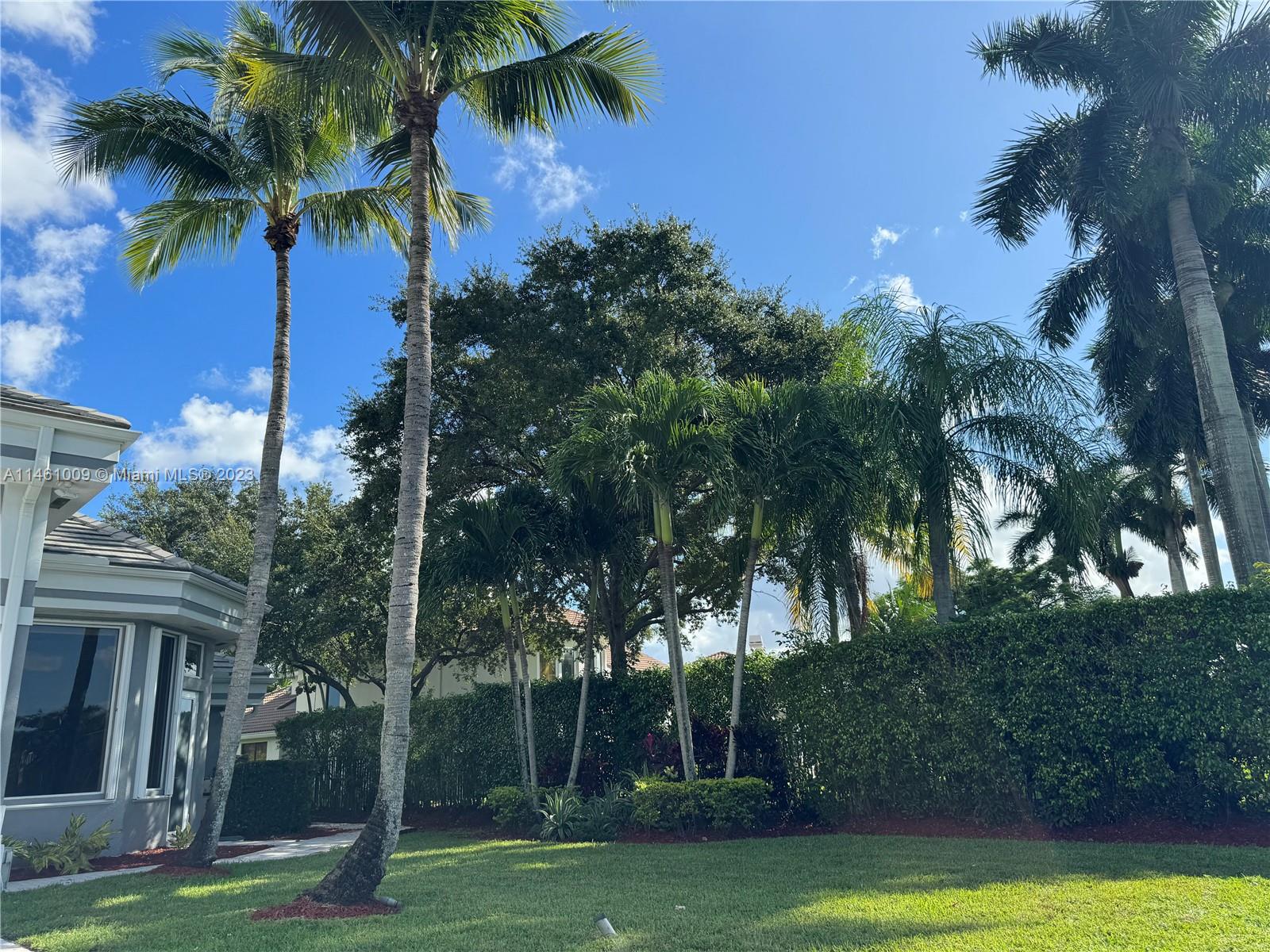 3088 Birkdale Drive Weston, FL 33332 - Photo 36 of 41 a view of a yard with palm trees