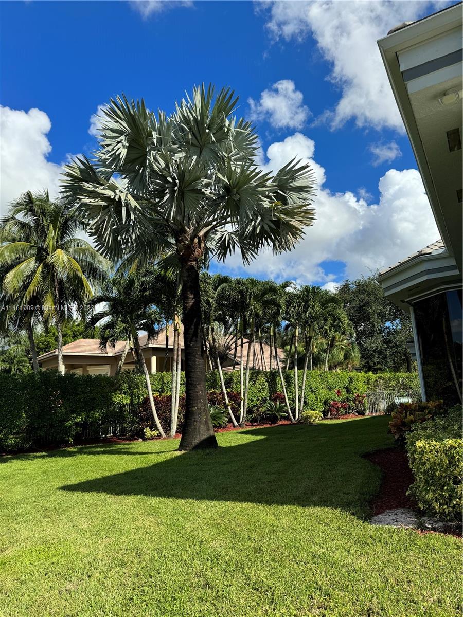 3088 Birkdale Drive Weston, FL 33332 - Photo 37 of 41 a view of a park