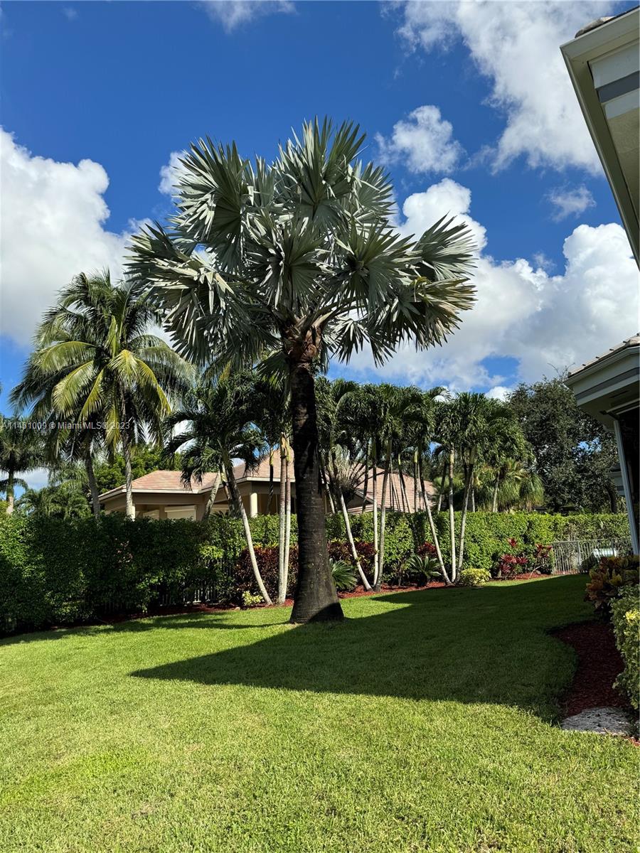 3088 Birkdale Drive Weston, FL 33332 - Photo 38 of 41 a view of a park