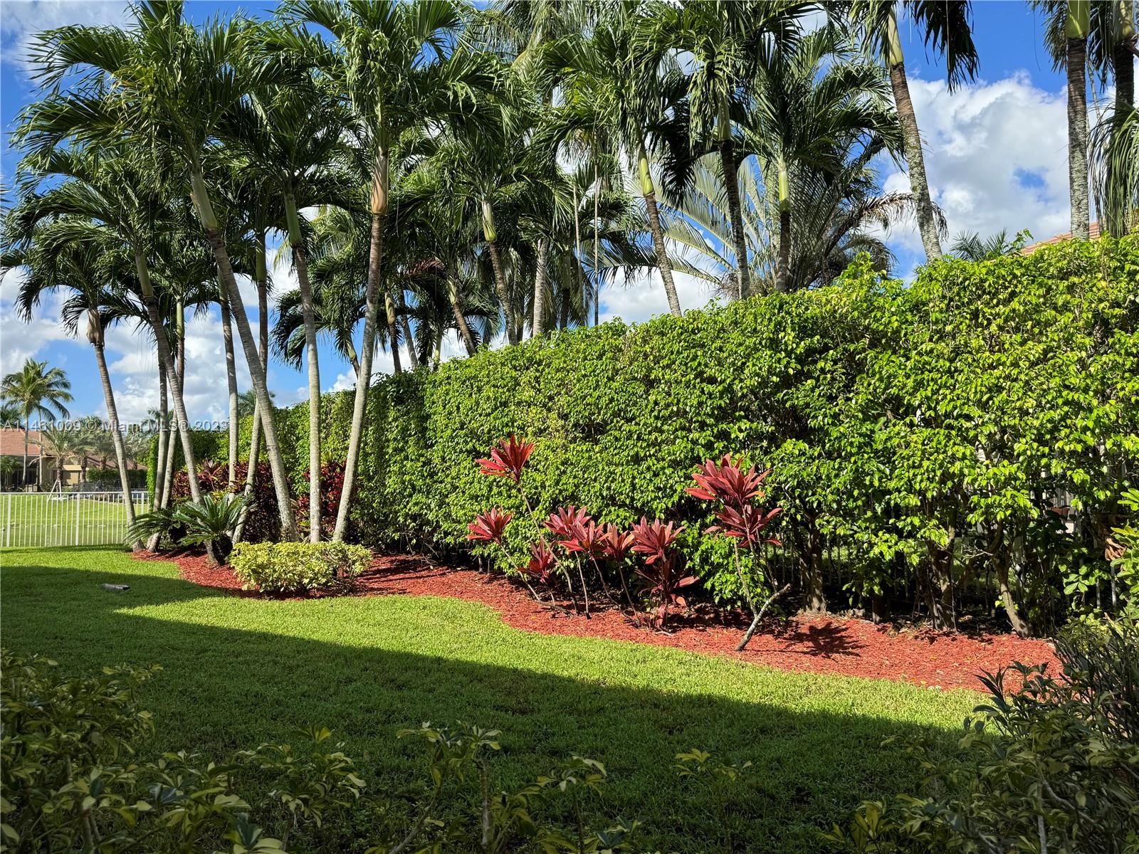 3088 Birkdale Drive Weston, FL 33332 - Photo 39 of 41 a view of a backyard
